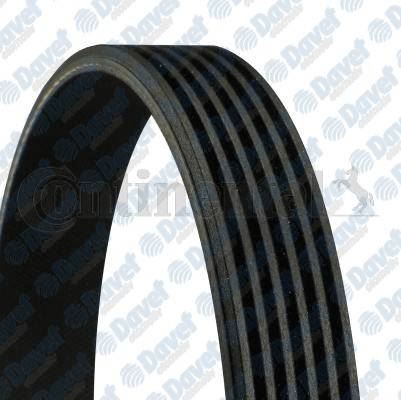 CONTI 6PK1264 Kanalli Kayis Fiesta Iii-Leon-Toledo-Bora-Golf Iv-V-Multivan-Transporter V